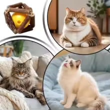 Sway Natural ChewBall™ – Pallina Naturale Anti-Noia per Gatti